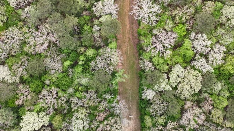 DJI_20260402004652_0211_D