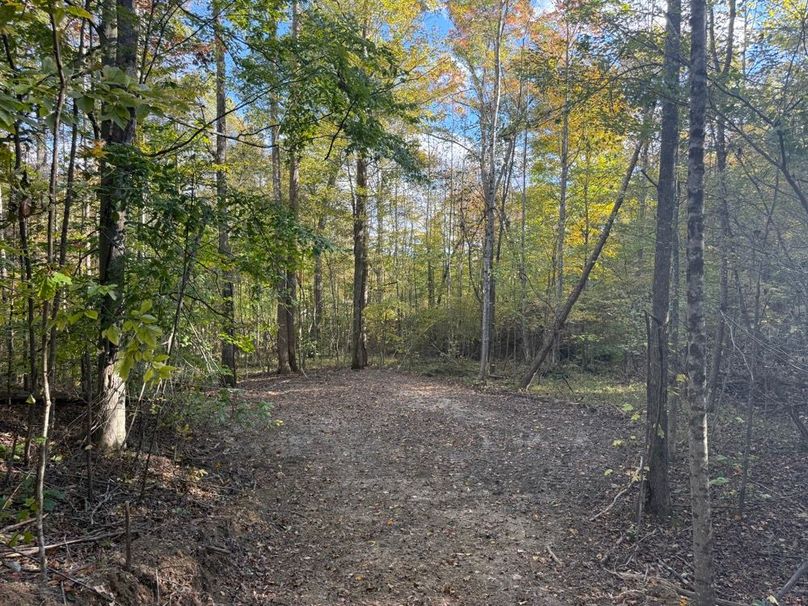 009 nice open area for a camping spot or small foodplot