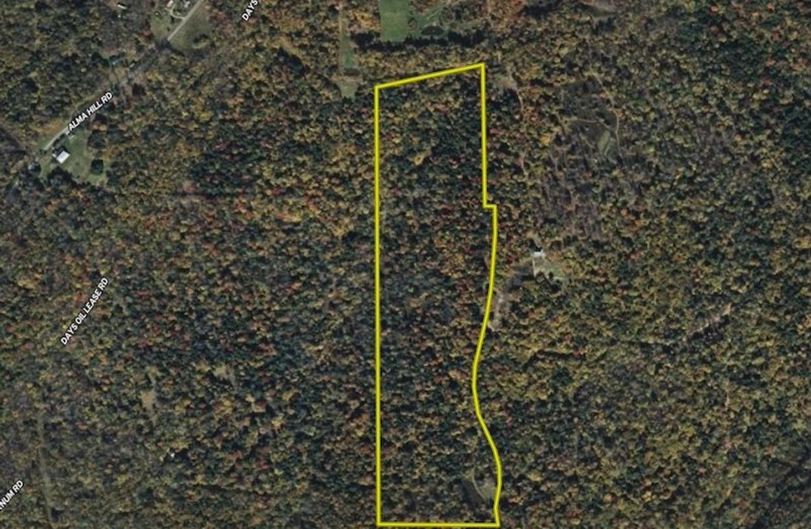 Screenshot 2025-09-10 at 9.21.48 PM