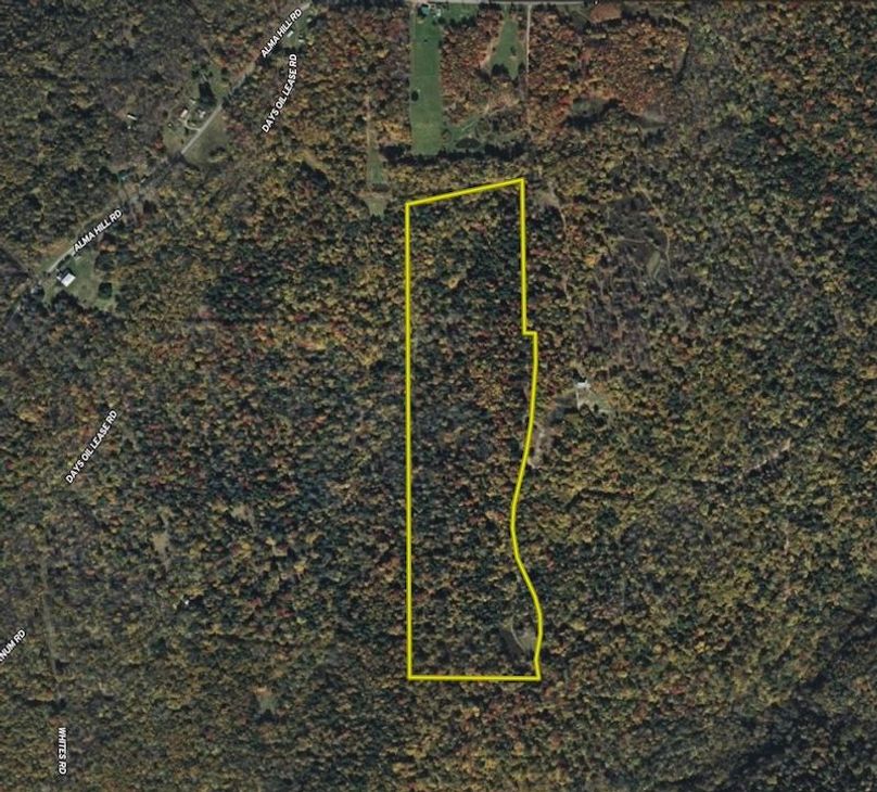 Screenshot 2025-09-10 at 9.21.48 PM