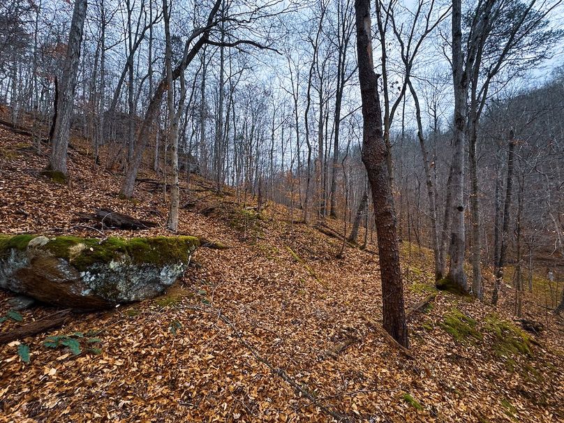 Ritchie, WV 100 AC Harper-44