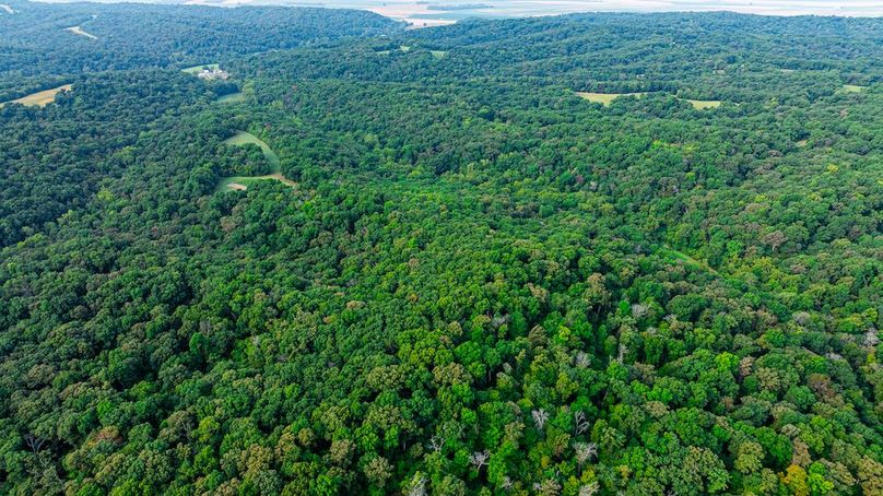 DJI_20250904202510_0042_D