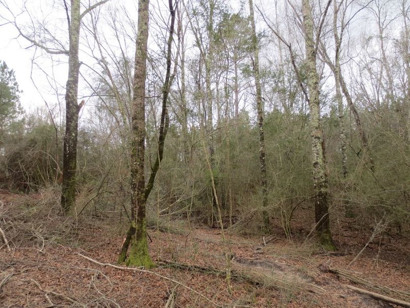 D9213013-A18B-4BEF-ABED-EAD32EABE788_1_105_c