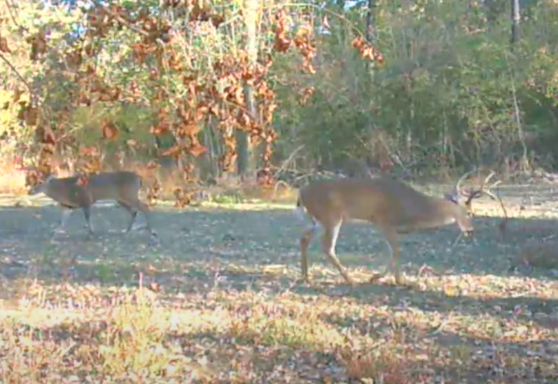 Screen Shot 2024-01-22 at 6.16.04 AM