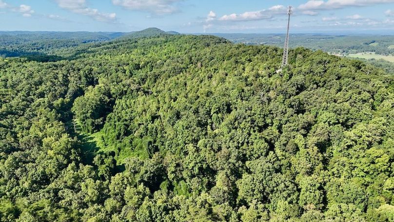 DJI_20250726094847_0044_D