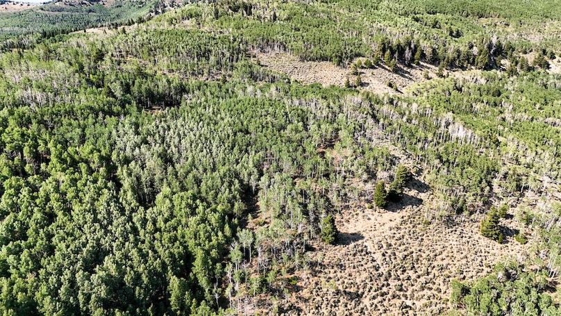 DJI_20250726170421_0101_D