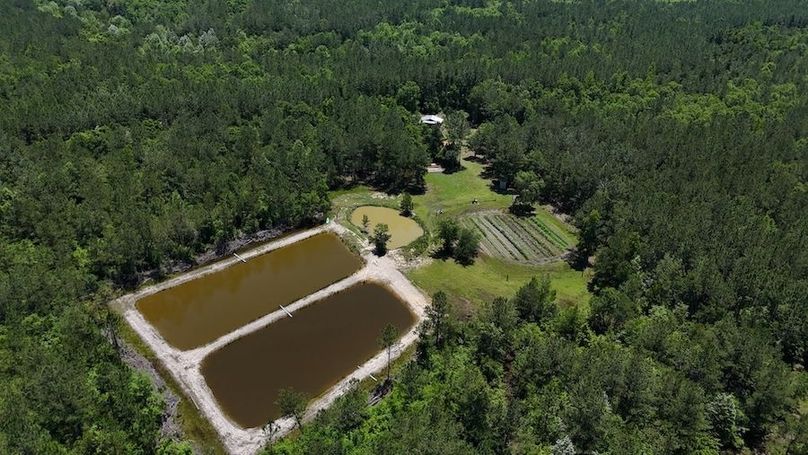 DJI_20240516123752_0004_D