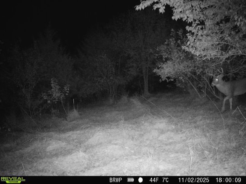 860322065924133-100-4-11022025180008-W1000419