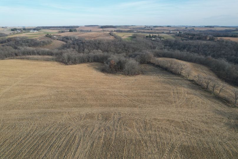 DJI_0009