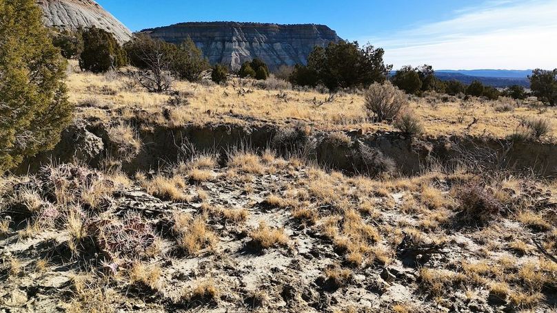 DJI_20241219101803_0061_D