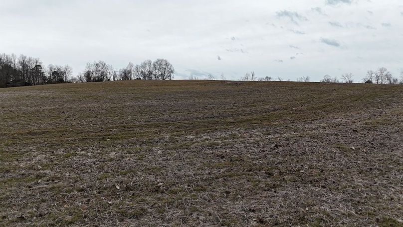 dji_fly_20260218_164516_0030_1771452056681_photo