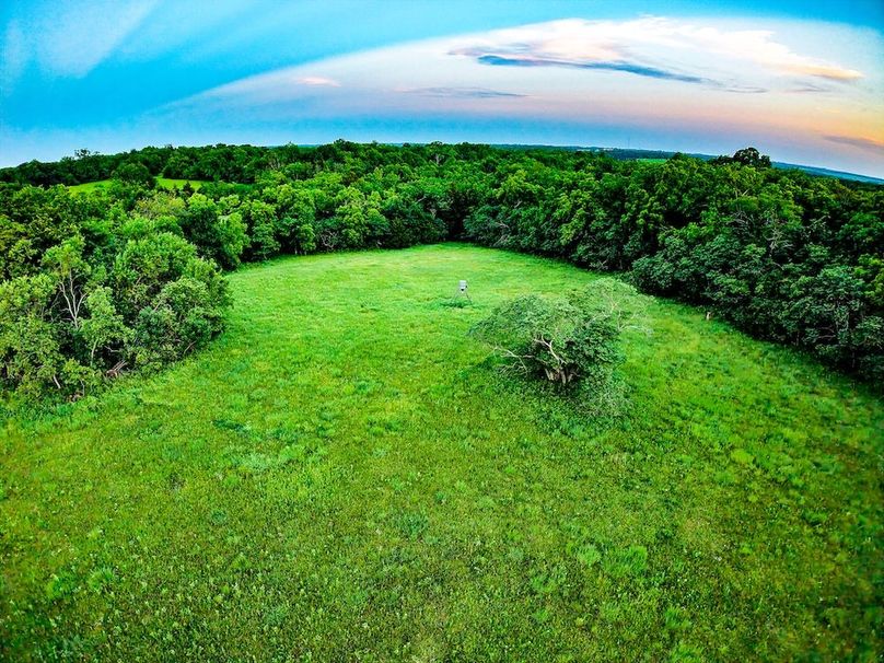 DJI_20260531204136_0323_D