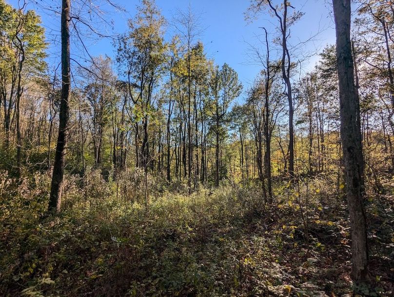 PXL_20251001_211459764