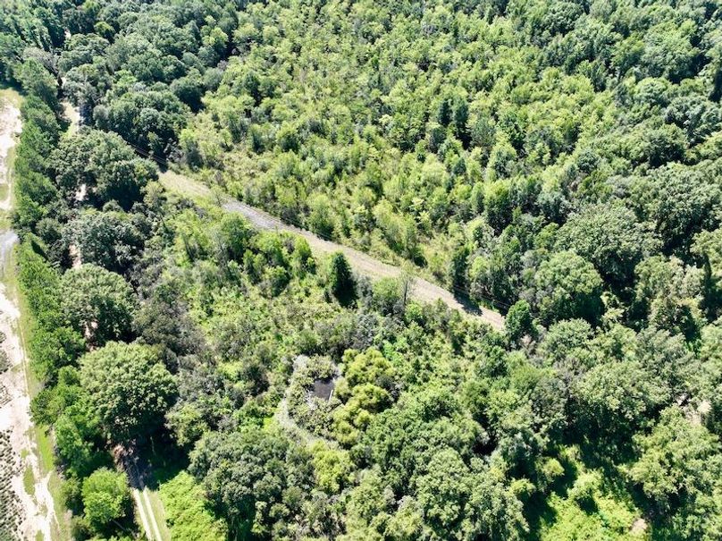 dji_fly_20250903_114342_119_1756914523425_photo