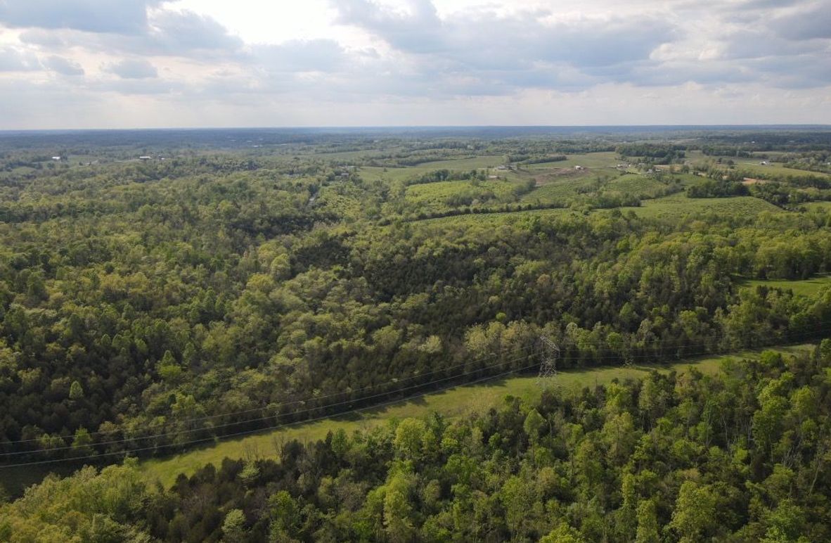 DJI_0373_W