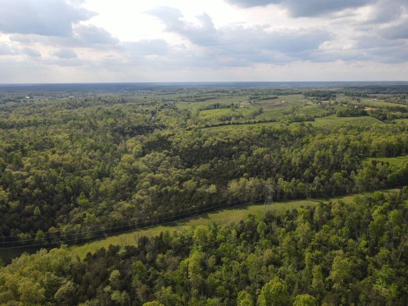 DJI_0373_W
