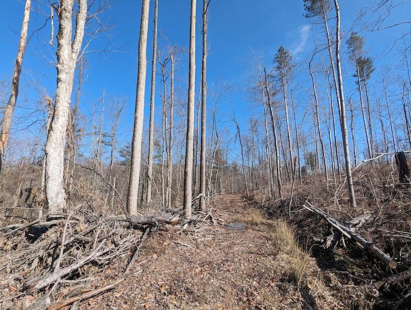 PXL_20240223_163744303