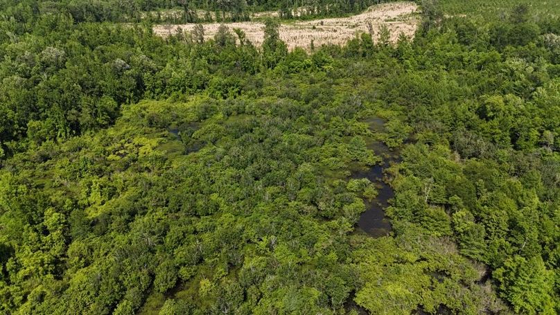 dji_fly_20250526_045554_0034_1748267961846_photo