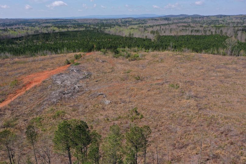 Copy of 200ftCardinal-1