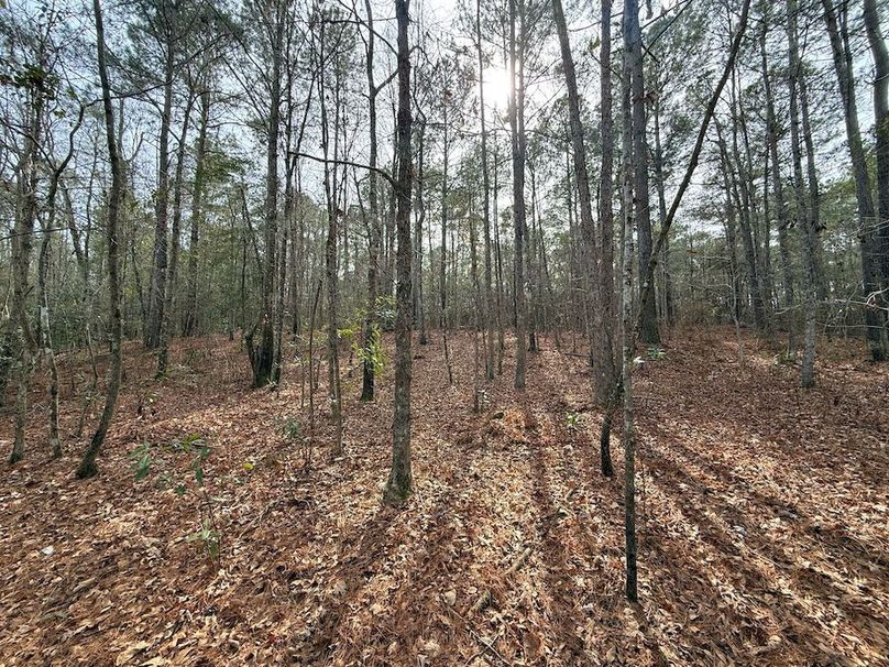 96C2BB75-2DC7-4AE9-BD8E-B9E39074A729