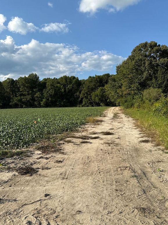 DJI_20250912_172945_388