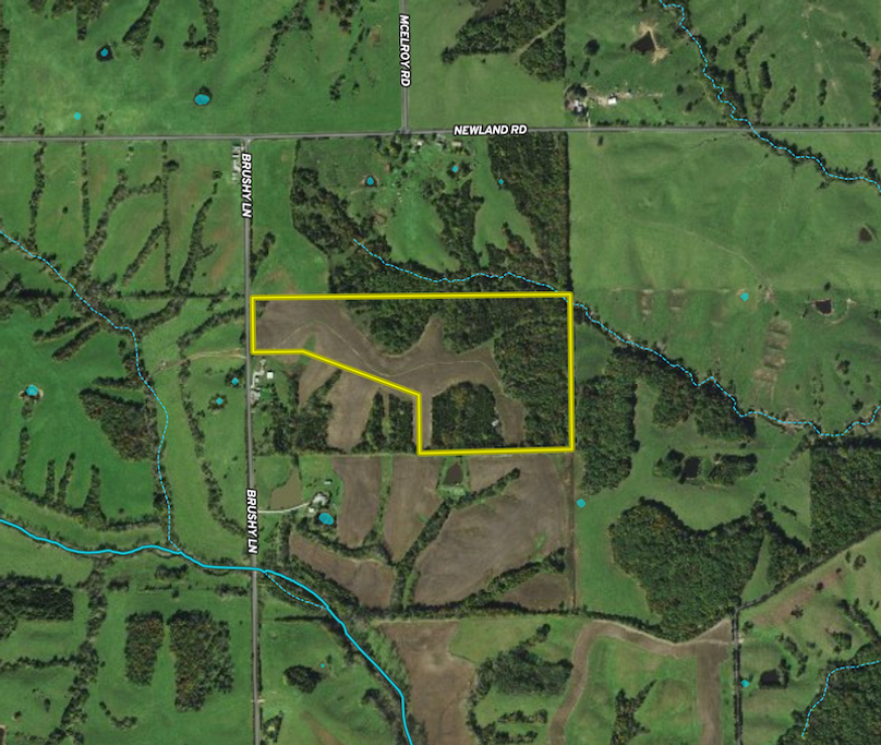 Screenshot 2024-03-12 at 8.15.20 PM