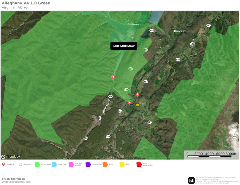 Alleghany VA 1.0 Aerial02