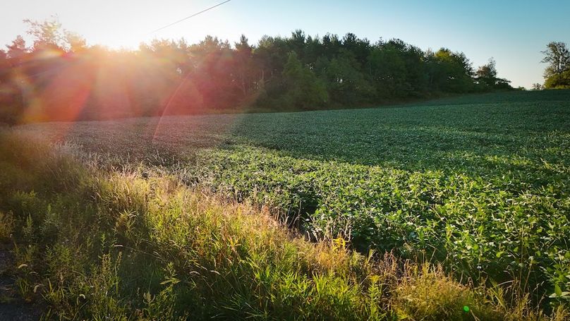 Copy of Wood Main Listing Photo 9