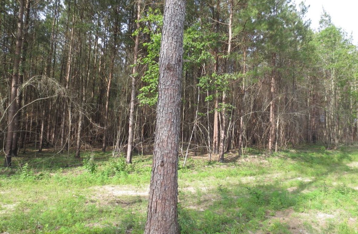 04C05988-AD6C-45E7-BAA5-5CB9EDF08D3E_1_105_c