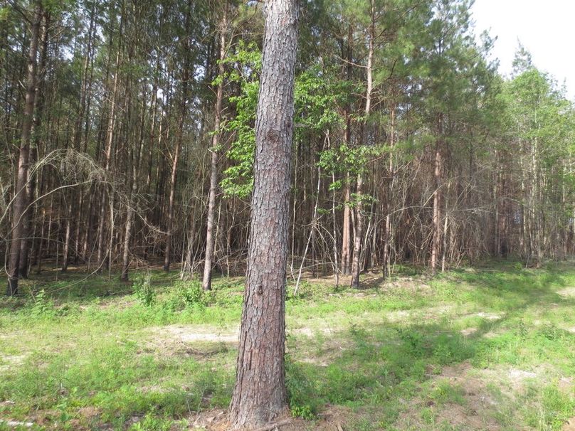 04C05988-AD6C-45E7-BAA5-5CB9EDF08D3E_1_105_c