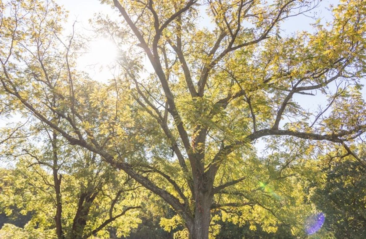 Copy of 146A2648 Large