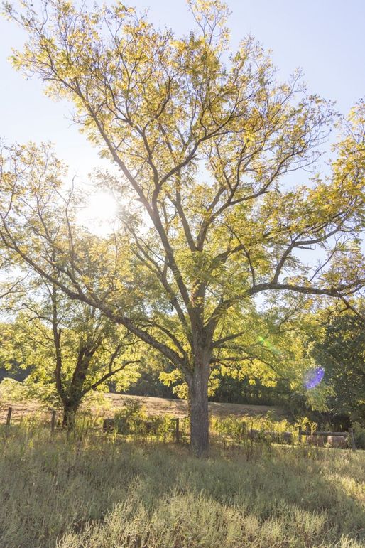 Copy of 146A2648 Large