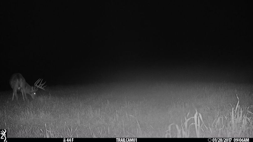 trail cam5