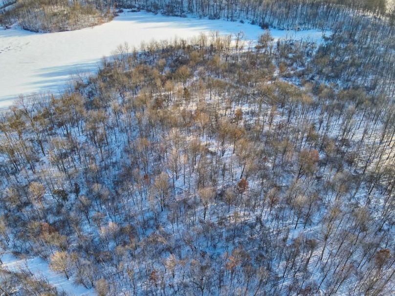 8 NW Corner Timber_hill