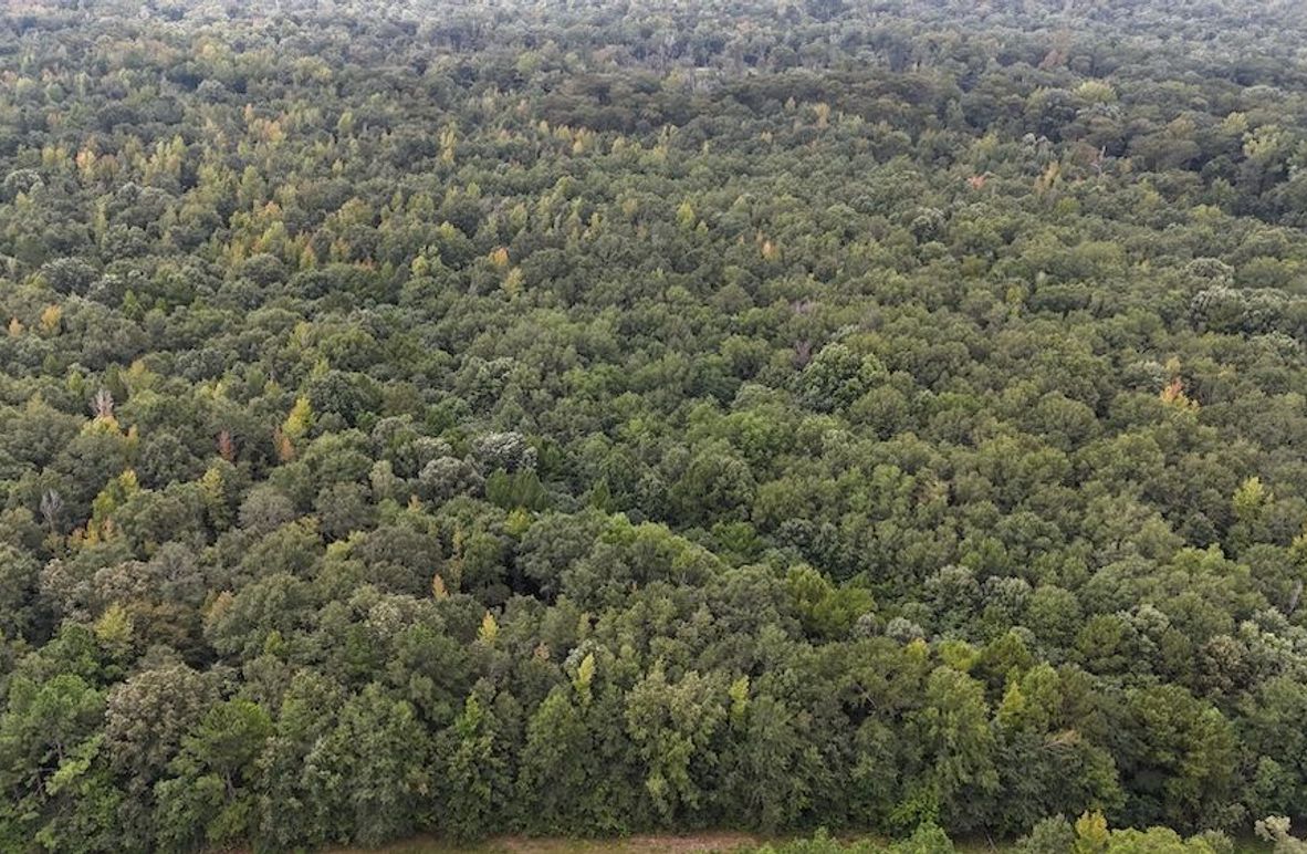 DJI_20240908004656_0081_D