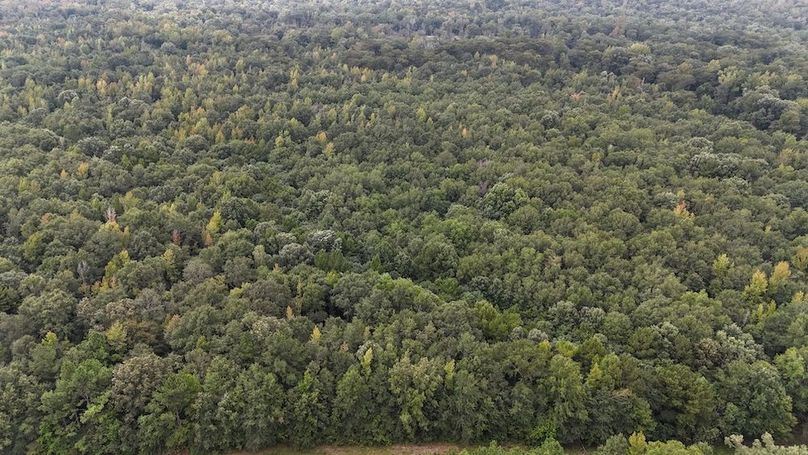 DJI_20240908004656_0081_D