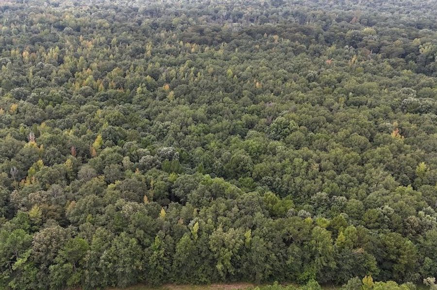 DJI_20240908004656_0081_D
