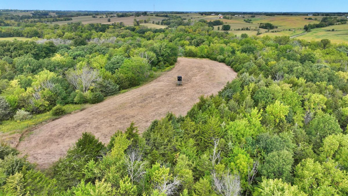 Proven Big Buck Hunting Property in Schuyler County Missouri