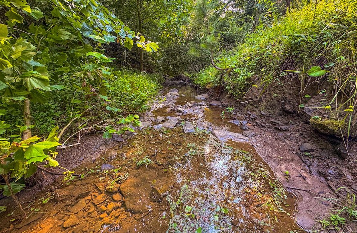 Lewis, WV 82.87 AC Barger-067