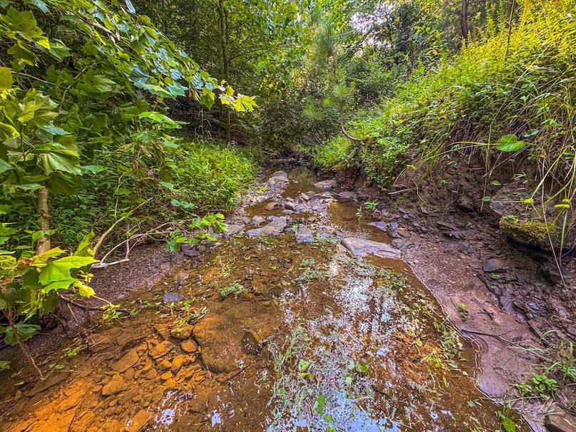 Lewis, WV 82.87 AC Barger-067