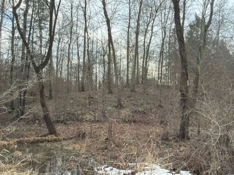 D6BCAE70-1F2E-4996-8EB2-6A8AFA51524D_4_5005_c