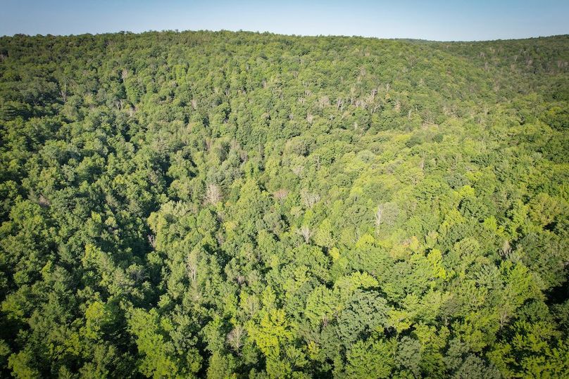 Tioga_82.5_Williams_Photos_12