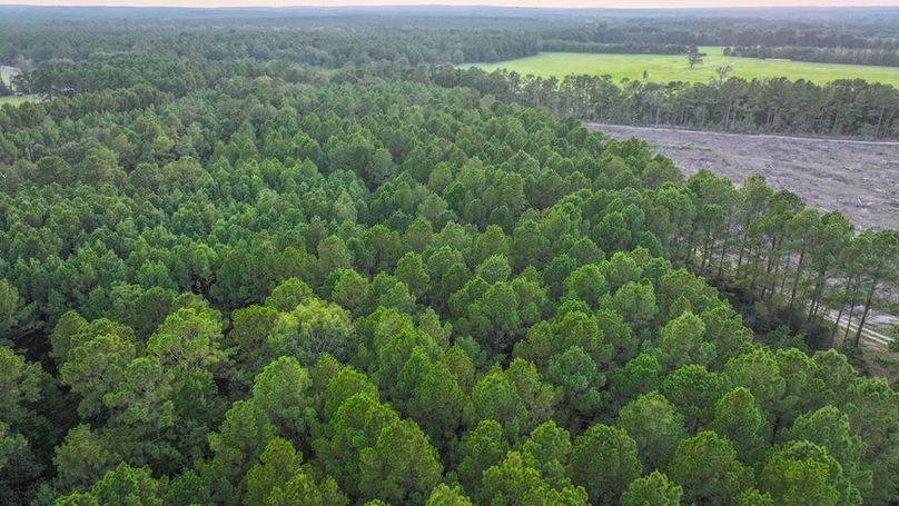 DJI_20250918184126_0254_D