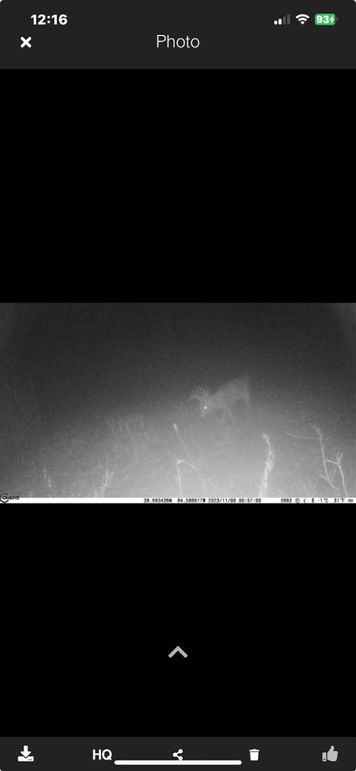 Screenshot_2023-12-23_at_12.16.32â¯PM