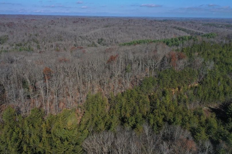 004 aerial view of the property from the southwest angle looking into the NF in the background