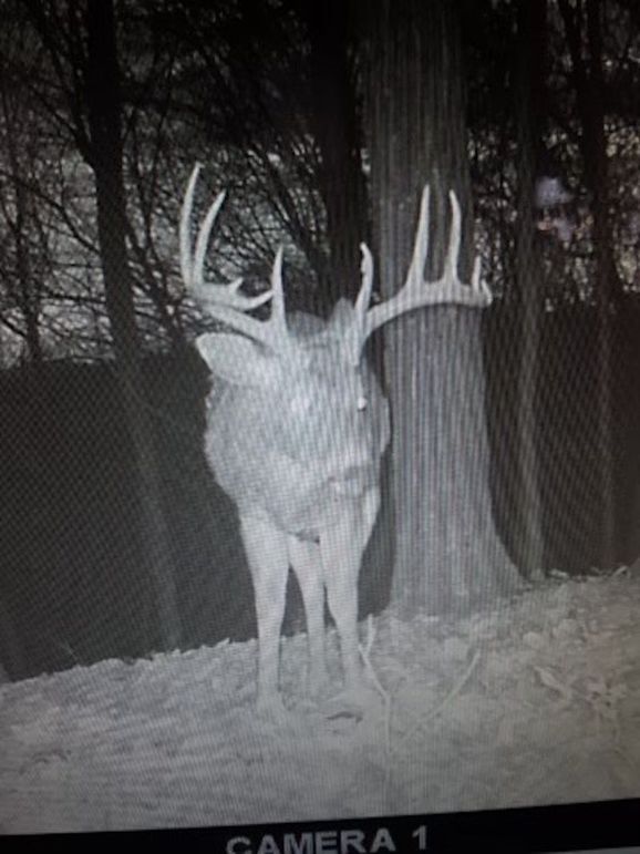 Resized_20211219_151721