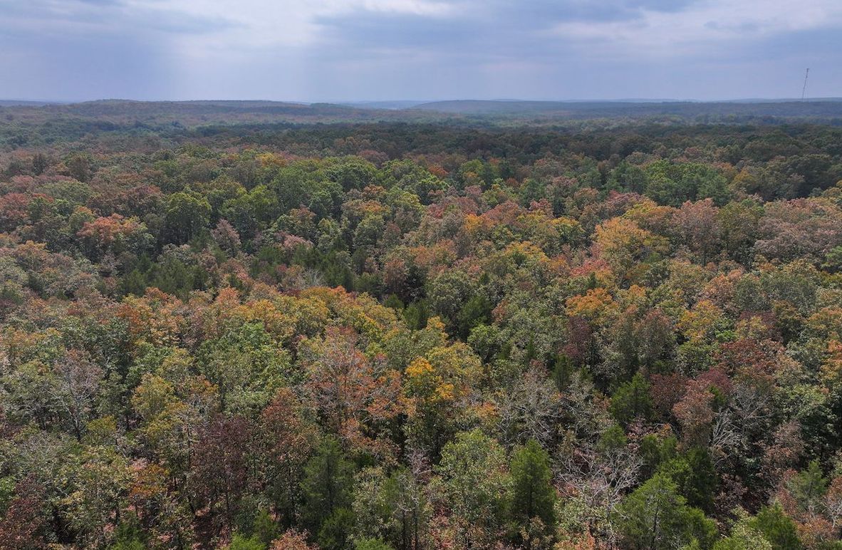 DJI_20250904123906_0569_D