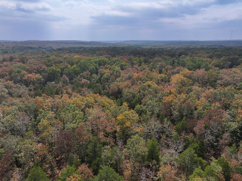 DJI_20250904123906_0569_D