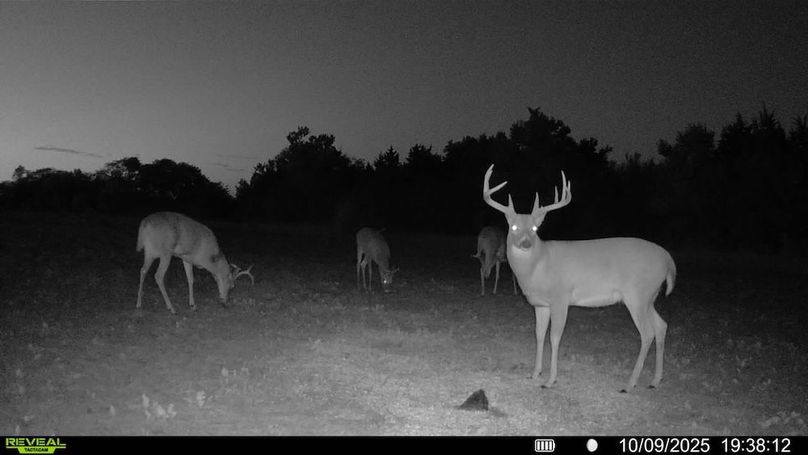 016578002025259-100-3-10092025193812-SYFW09366