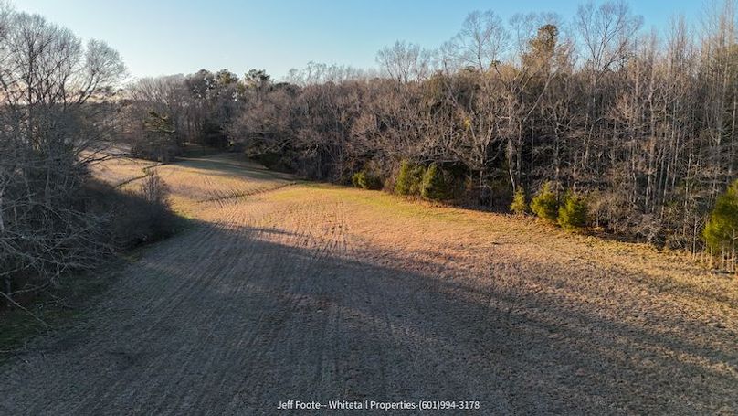 Hinds Co 39.98 - M Beasley-32